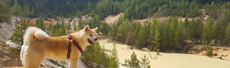 Nejlepší turistické trasy v Jihomoravském kraji