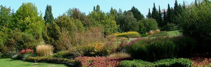 Poznejte krásy botanických zahrad Česka – díl III.