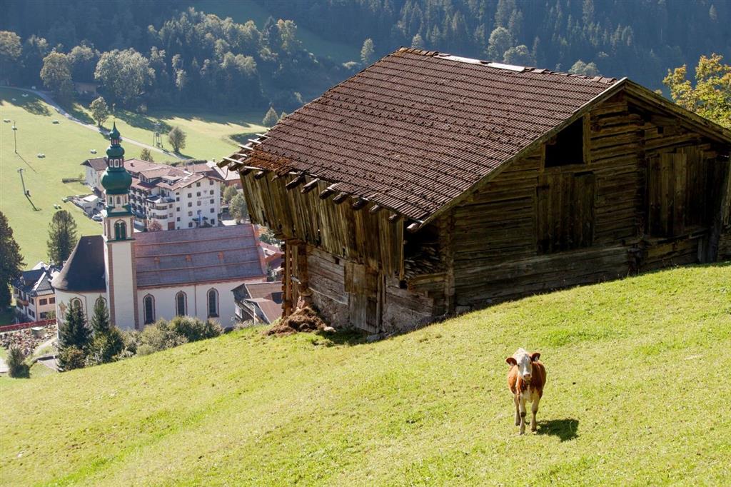 Landhotel Tirolerhof