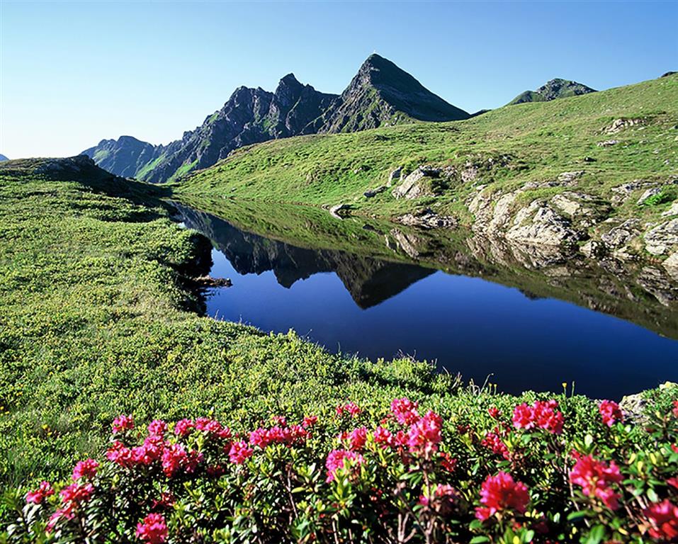 Hotel Alphof (Alpbach)