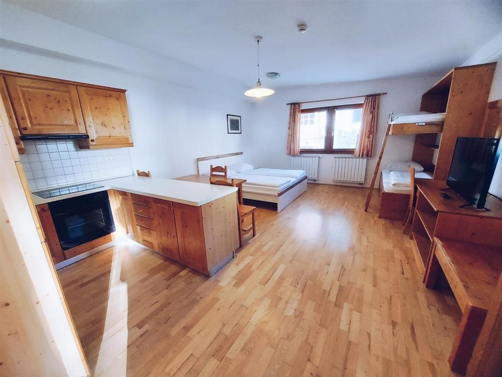 Apartmány Forest Videc (zima)