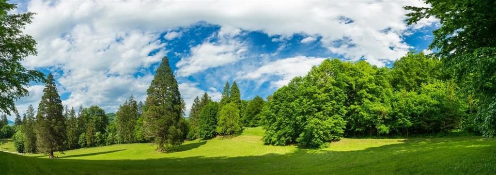 Wellness pobyt s dopravou a polopenzí v ceně v hotelu Sofijin Dvor